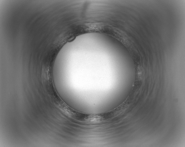 X0000066010514200603171509