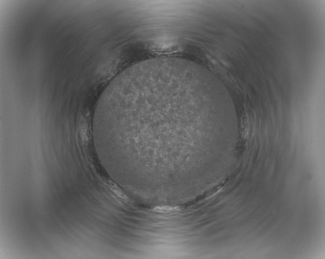 X0000066010515200603171509