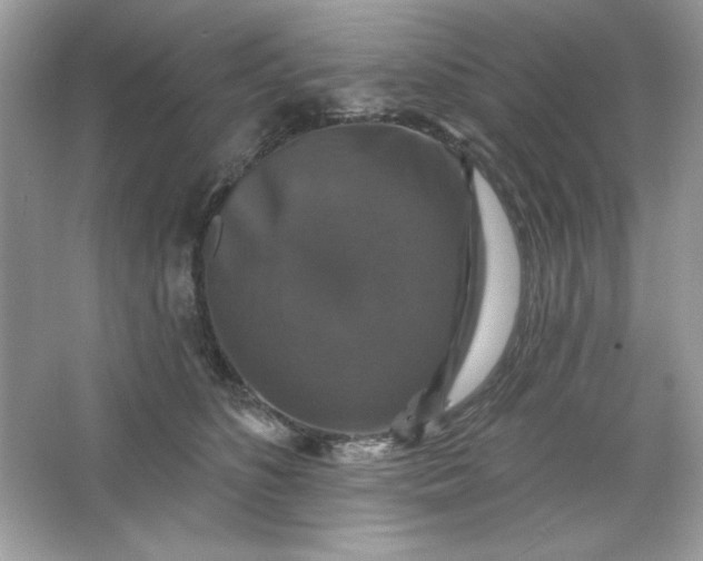 X0000066010516200603171509