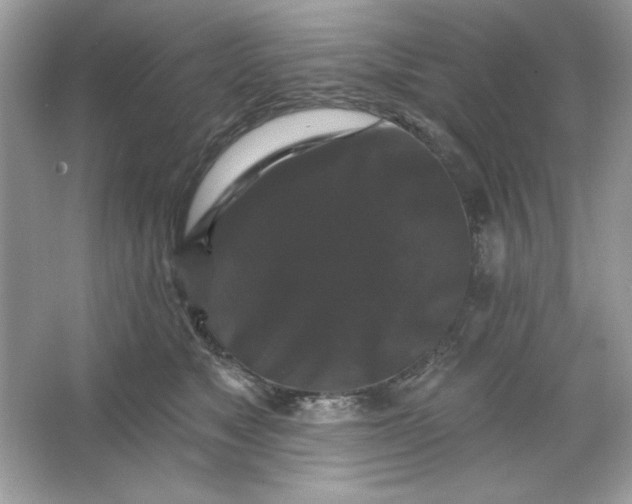 X0000066010517200603171509