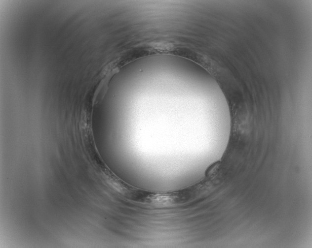 X0000066010518200603171509