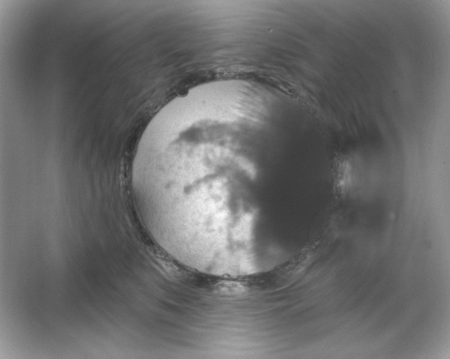 X0000066010519200603171509