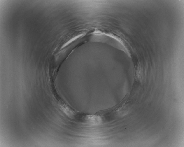 X0000066010520200603171509