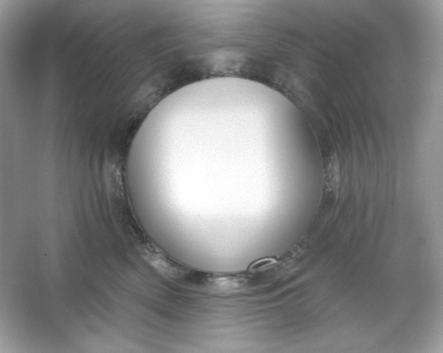 X0000066010522200603171509