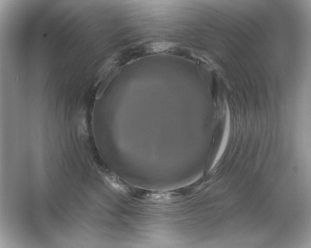 X0000066010524200603171509