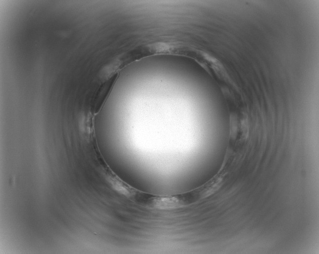 X0000066010525200603171509