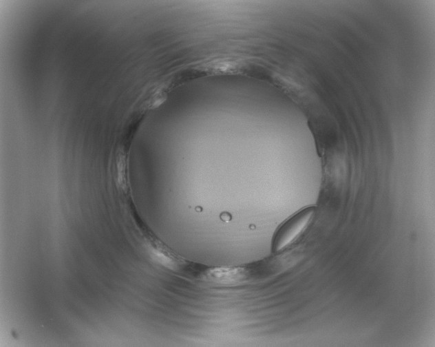 X0000066010526200603171509