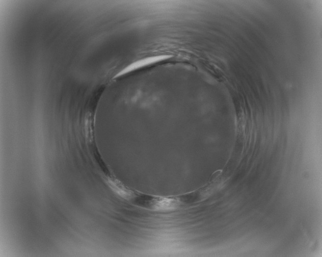 X0000066010527200603171509