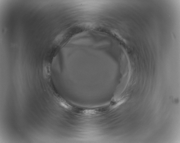 X0000066010528200603171509