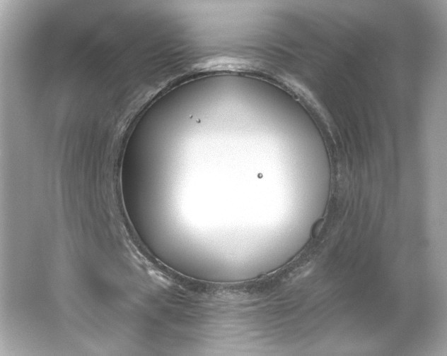 X0000066010529200603171508