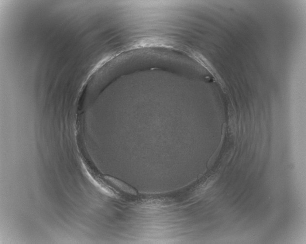 X0000066010530200603171508