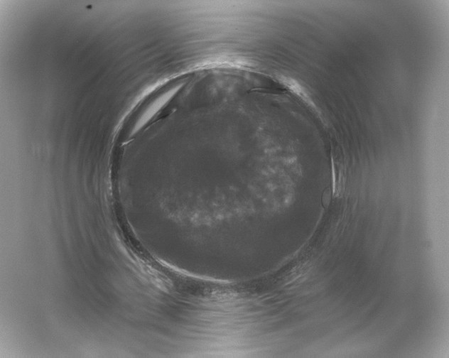 X0000066010531200603171508