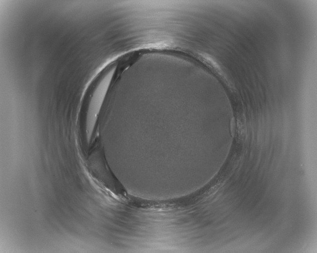 X0000066010532200603171508