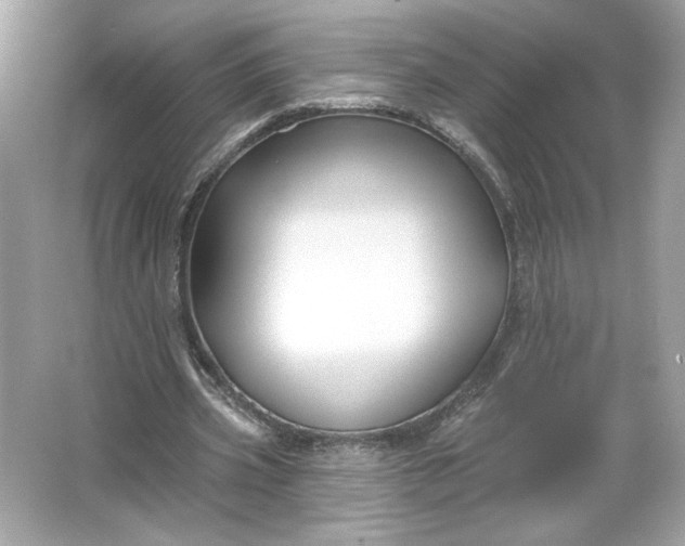 X0000066010533200603171508