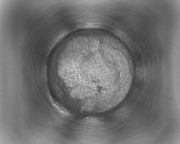 X0000066010534200603171508