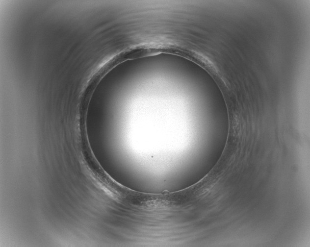 X0000066010535200603171508