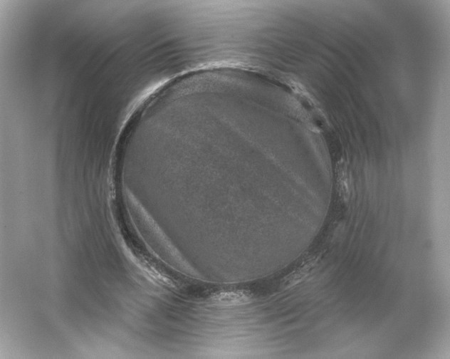 X0000066010536200603171508