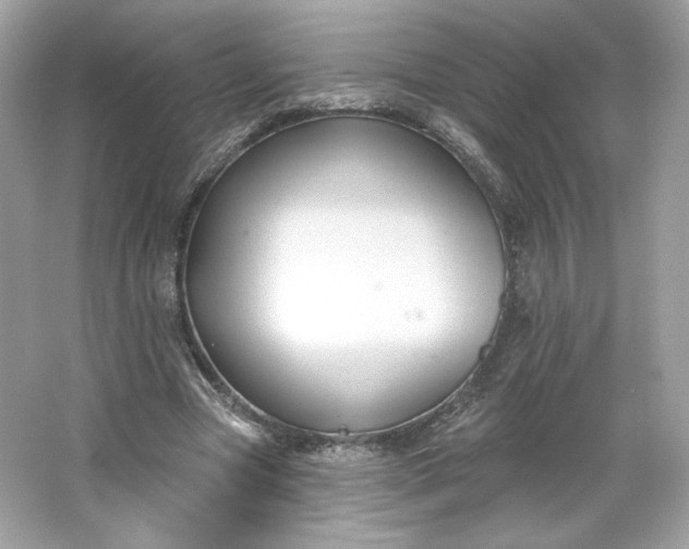 X0000066010537200603171508