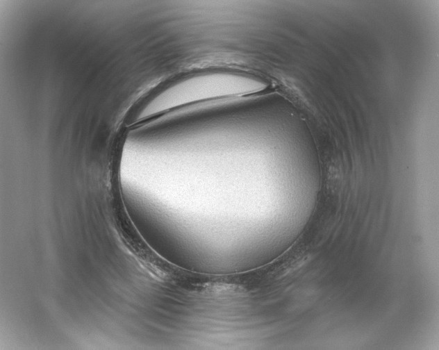 X0000066010539200603171508