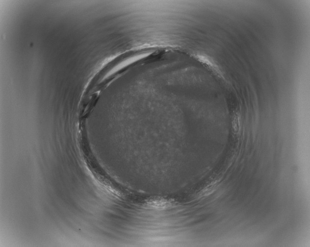 X0000066010540200603171508