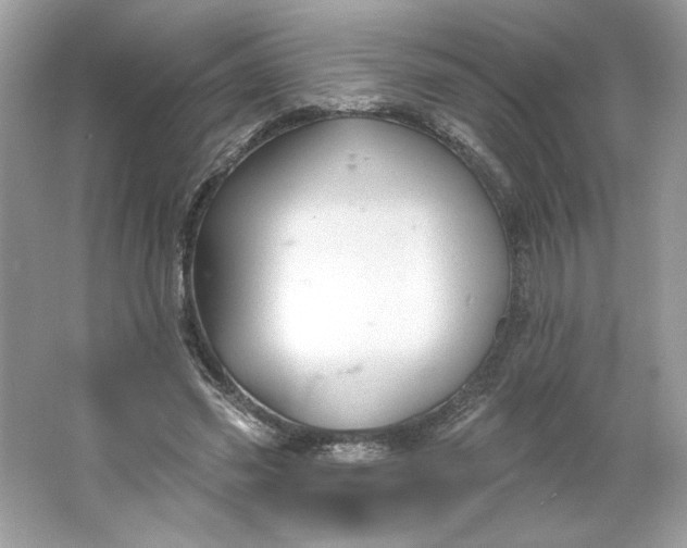 X0000066010541200603171508