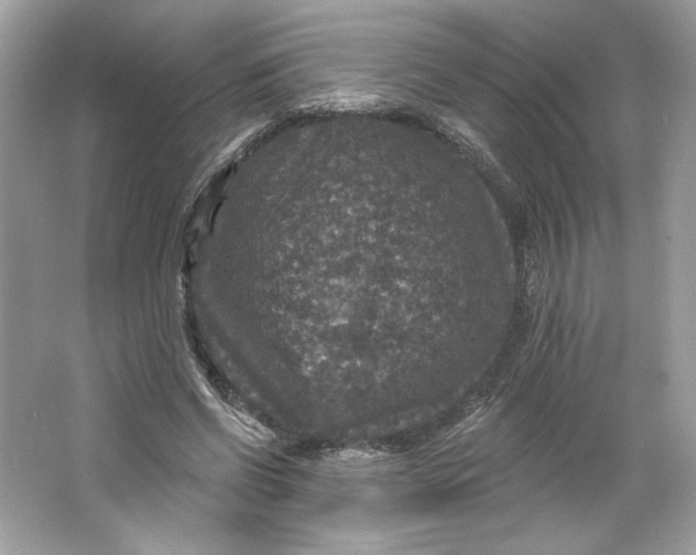 X0000066010542200603171508