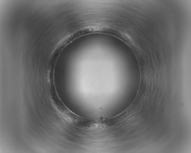 X0000066010543200603171508