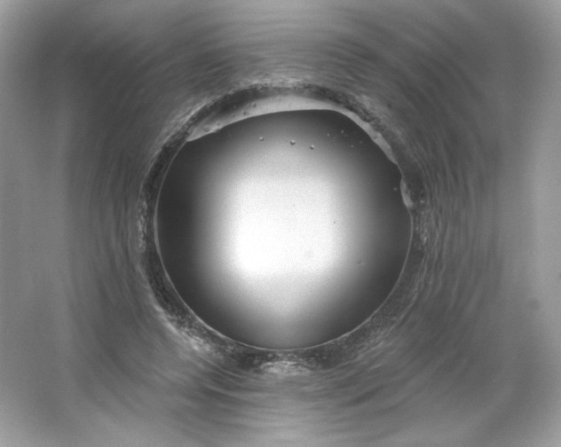 X0000066010544200603171508