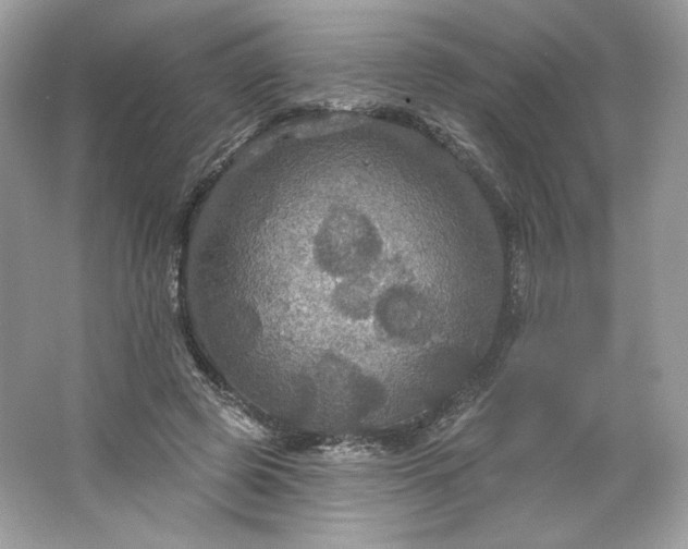 X0000066010545200603171508