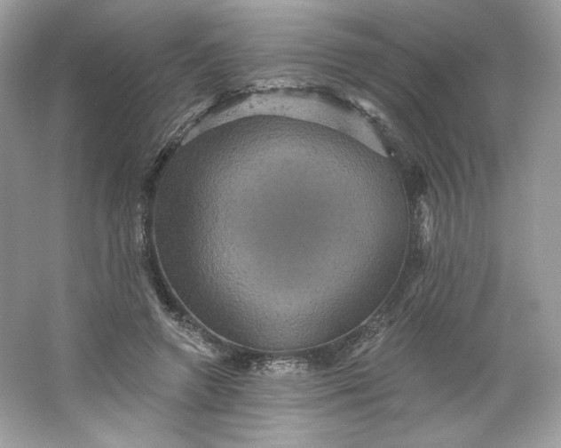 X0000066010546200603171508