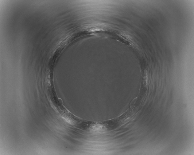 X0000066010547200603171508