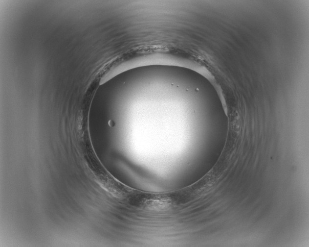 X0000066010548200603171508