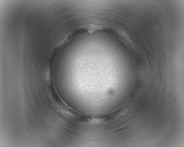 X0000066010549200603171508