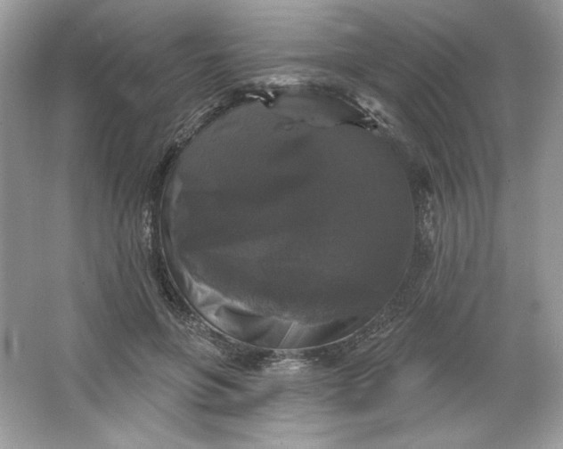 X0000066010551200603171508