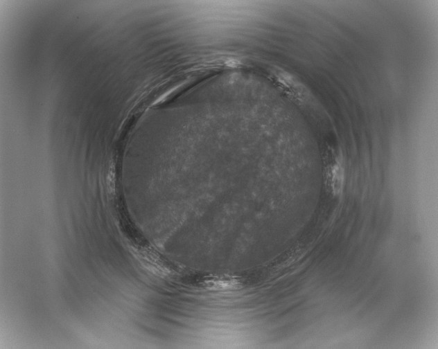 X0000066010552200603171508