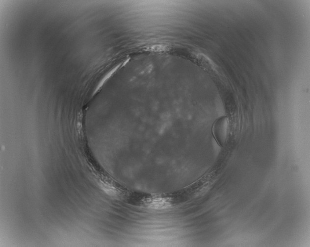 X0000066010553200603171508