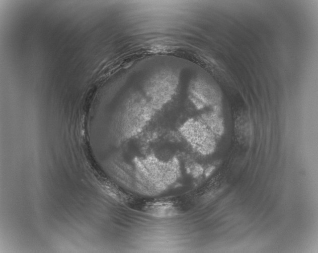 X0000066010554200603171509