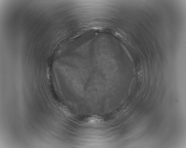 X0000066010555200603171509