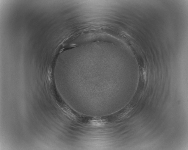 X0000066010556200603171509