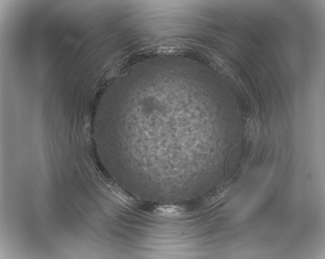 X0000066010557200603171509