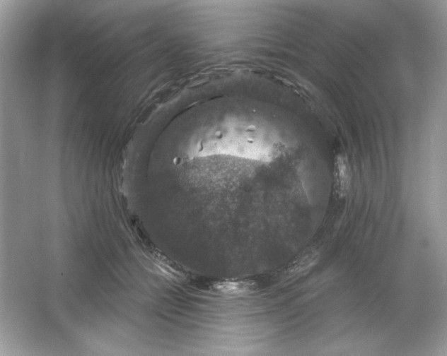 X0000066010558200603171509