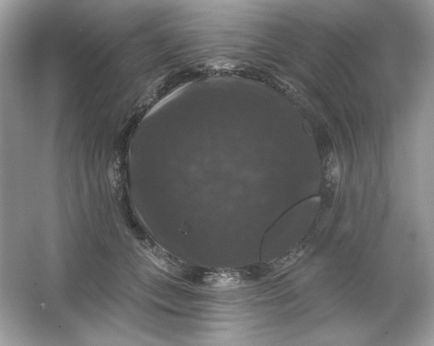 X0000066010559200603171509