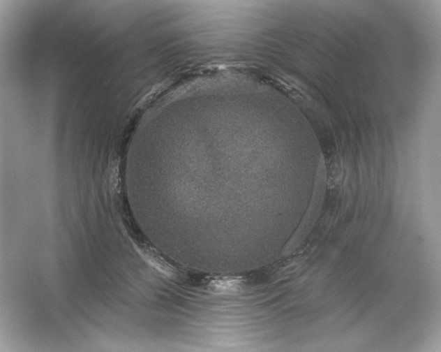 X0000066010560200603171509