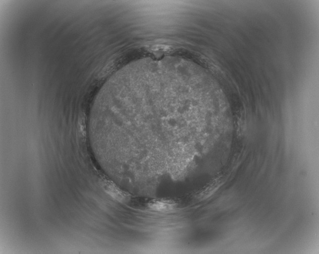 X0000066010561200603171509