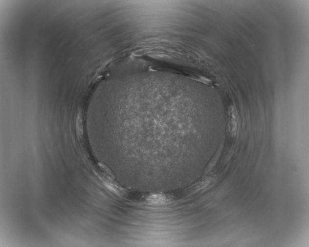 X0000066010562200603171509