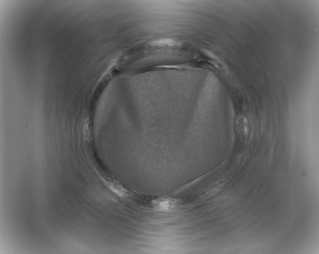 X0000066010564200603171509