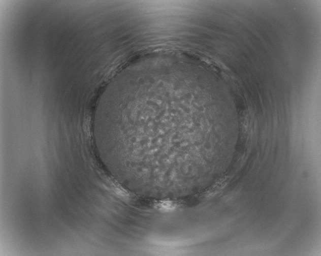 X0000066010565200603171509