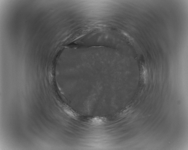 X0000066010566200603171509