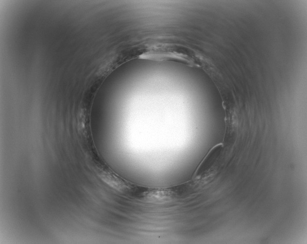 X0000066010567200603171509