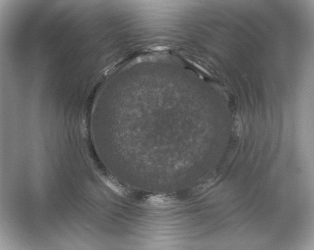 X0000066010568200603171509